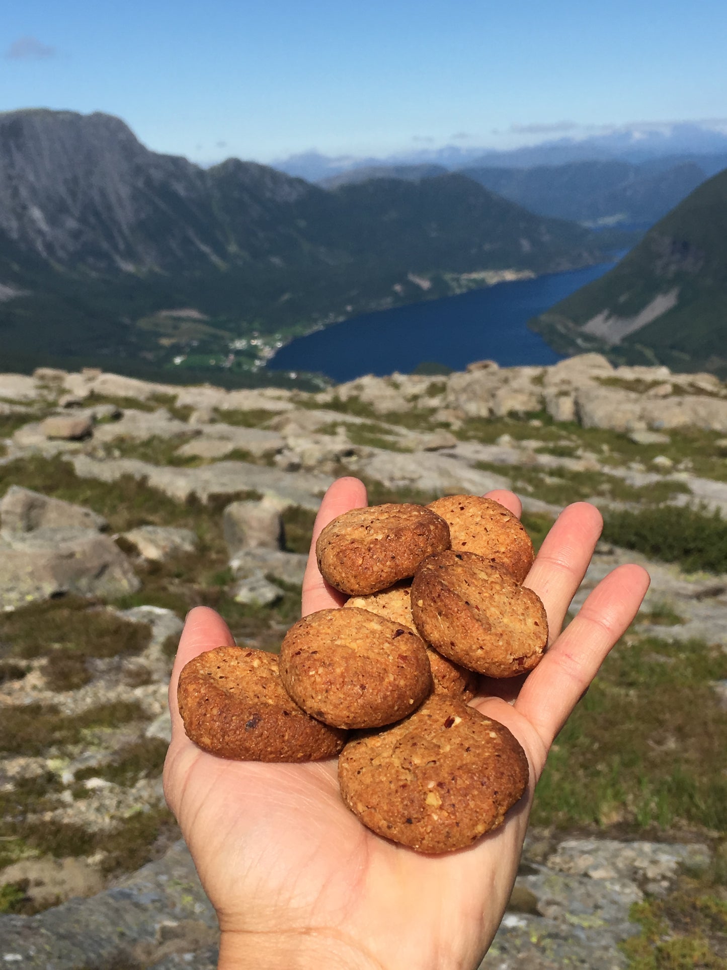 EBOOK: Vollwertige Süßgebäcke