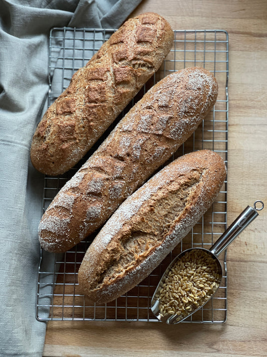 Ebook: Brot, Brötchen & Baguette